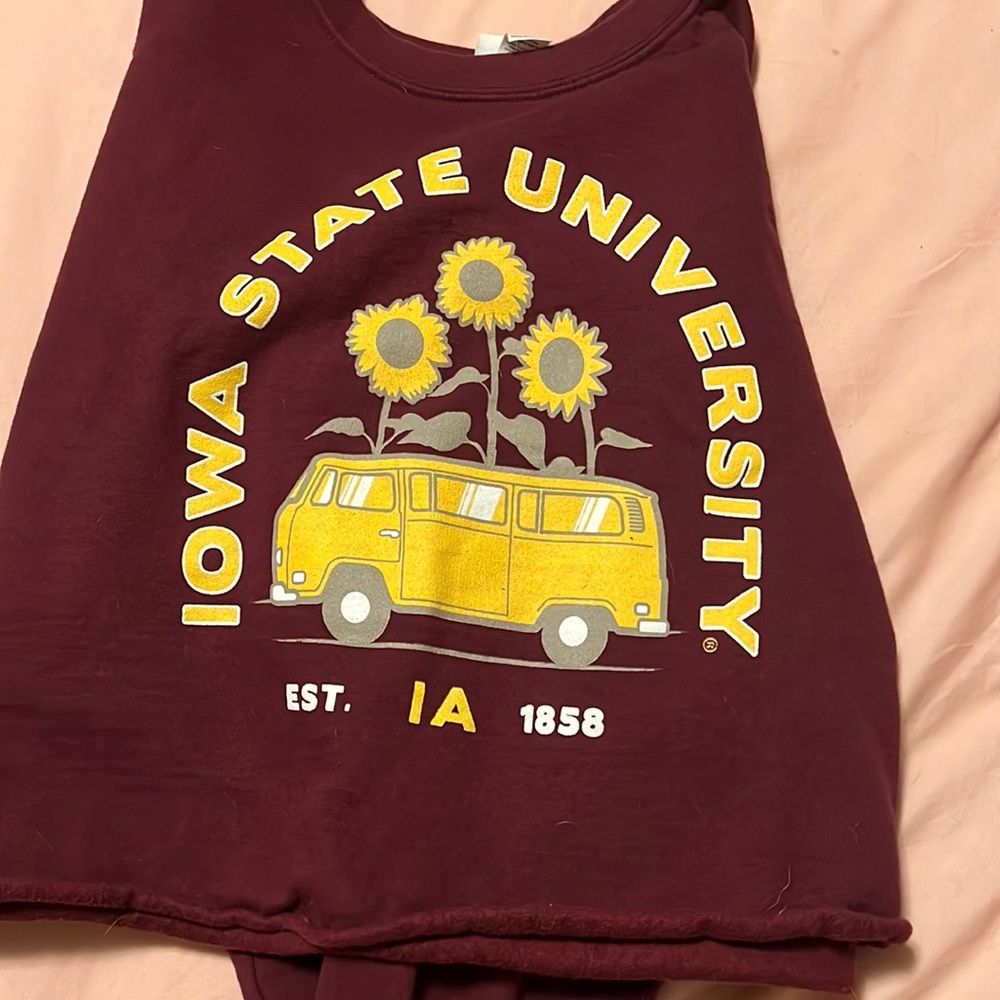 Cyclones cropped sweatshirt